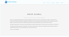 Desktop Screenshot of brizoglobal.com